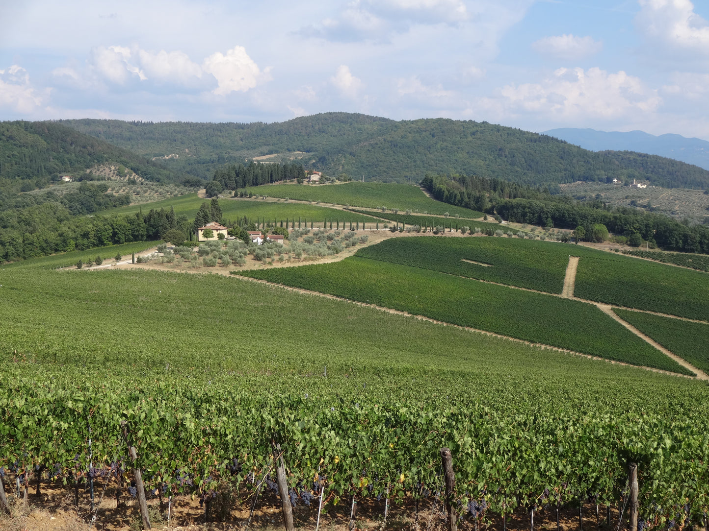 レモーレ・ビアンコ - FRESCOBALDI (フレスコバルディ) 750ml x 1本