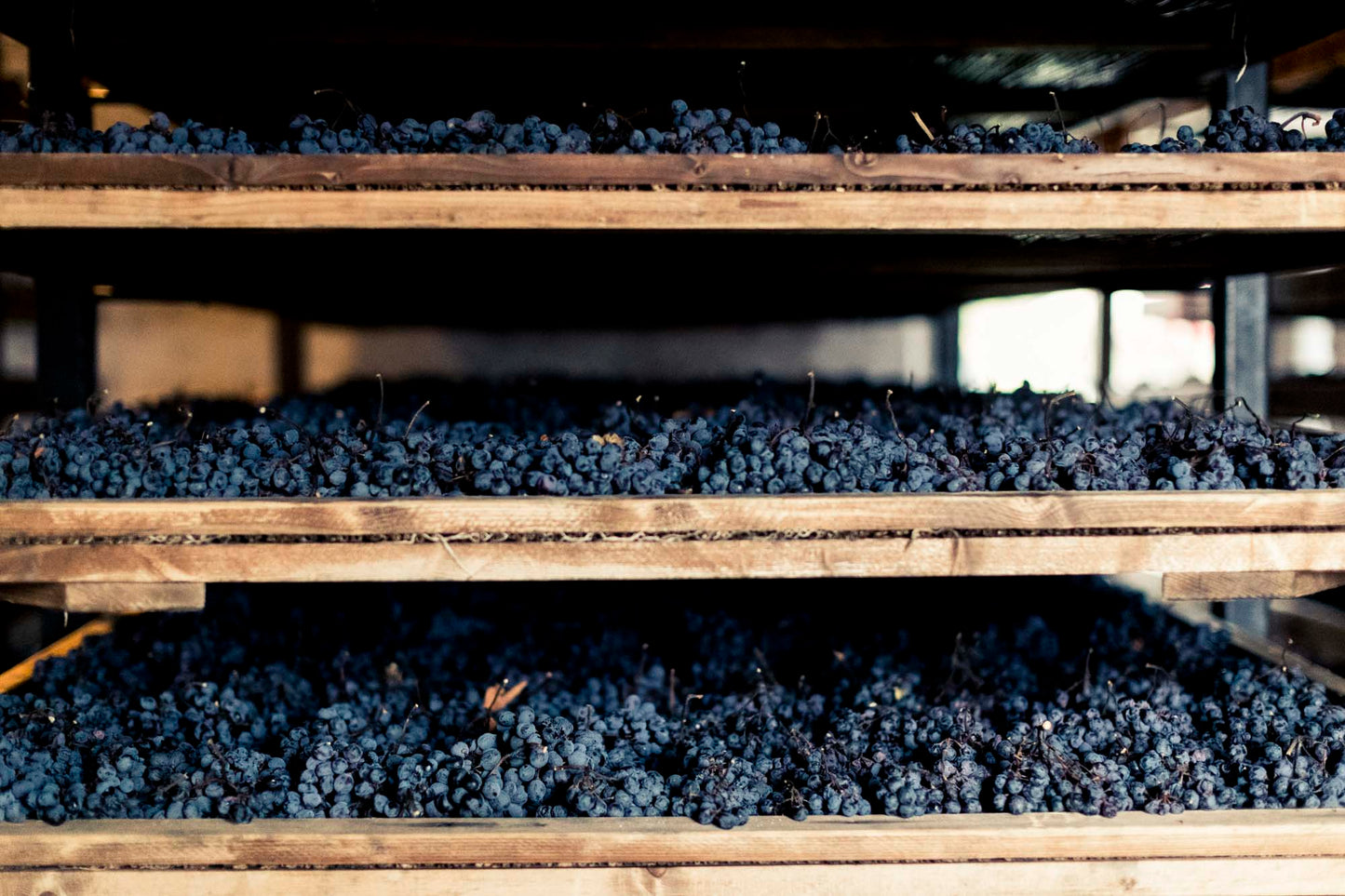 Alìe - FRESCOBALDI (Toscana) 750ml x 6btl