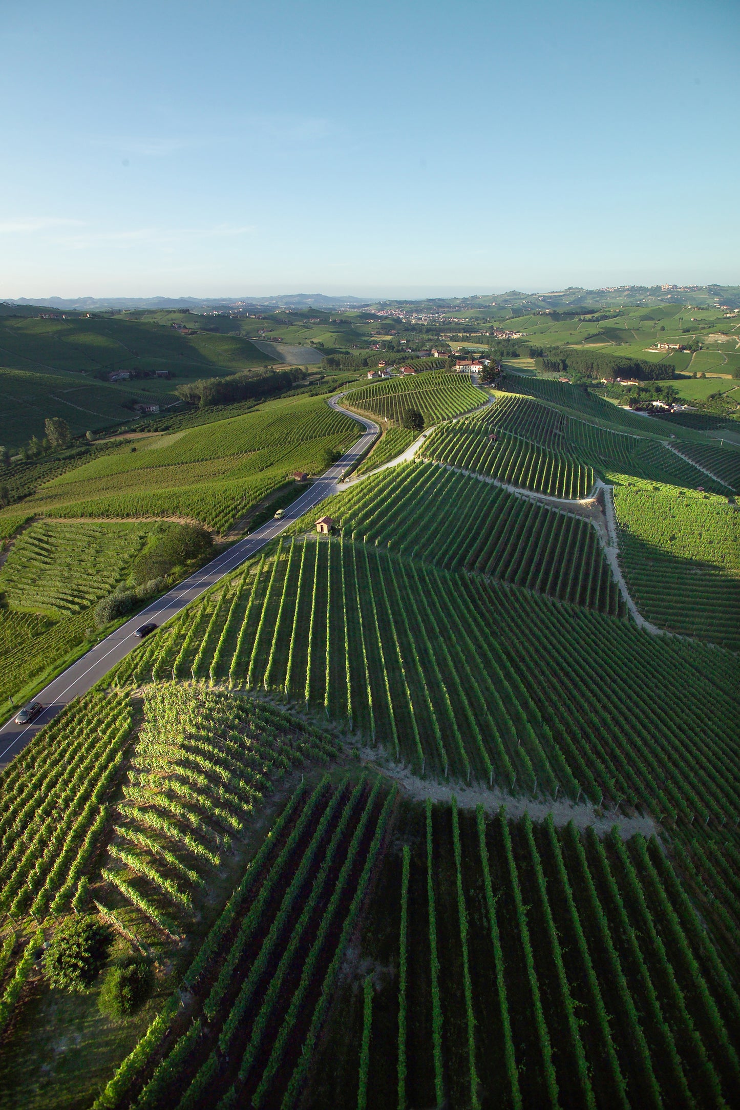 Alìe - FRESCOBALDI (Toscana) 750ml x 6btl