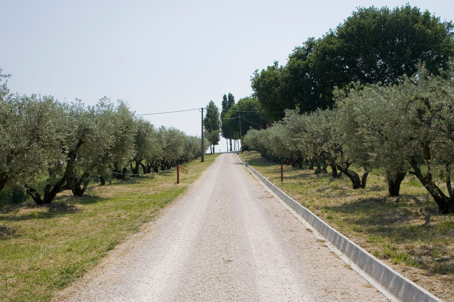 "Bucci" Verdicchio Classico di Castelli di Jesi - Bucci (Marche) 750ml x 6btl