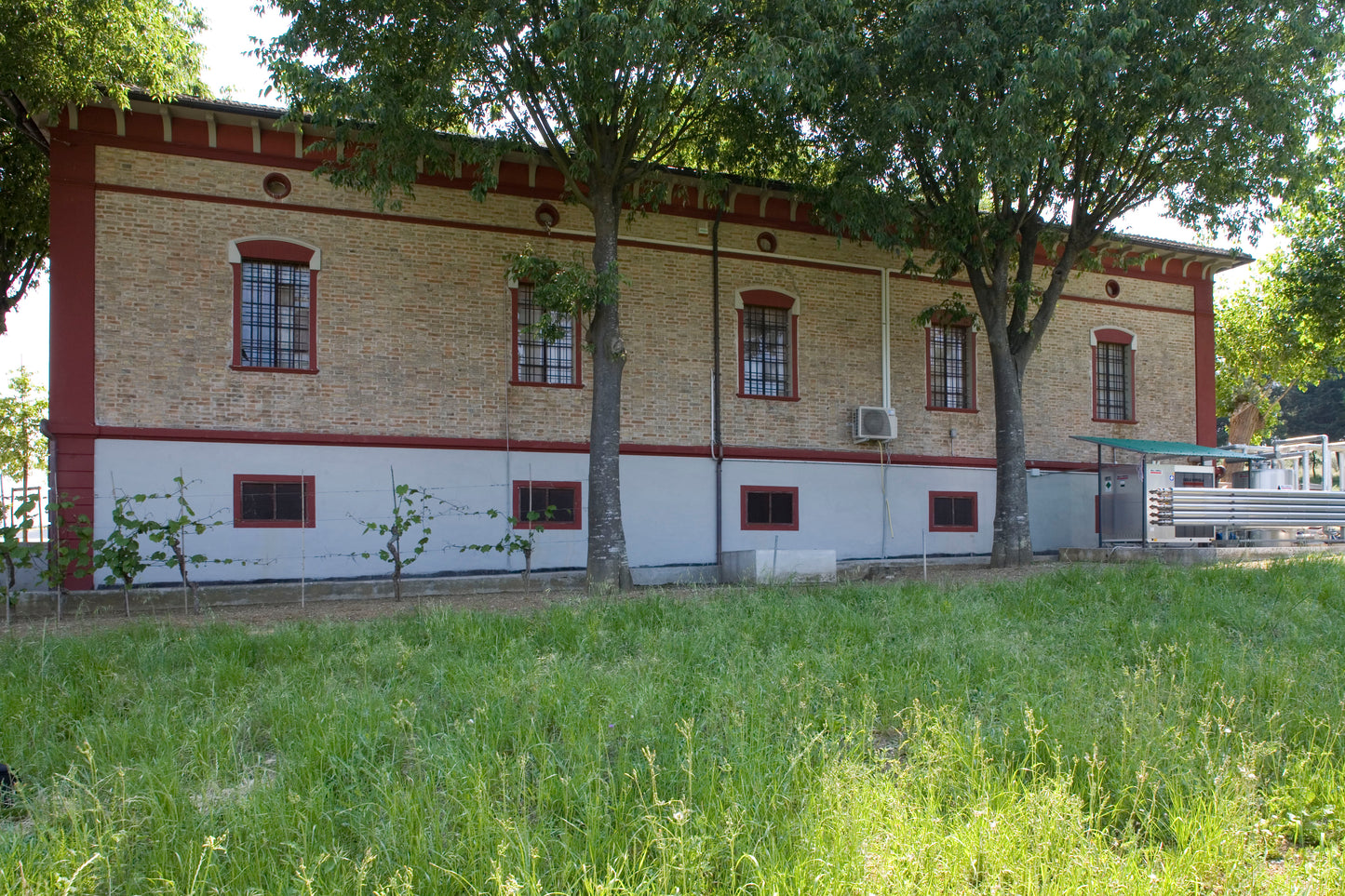 "Bucci" Verdicchio Classico di Castelli di Jesi - Bucci (Marche) 750ml x 6btl