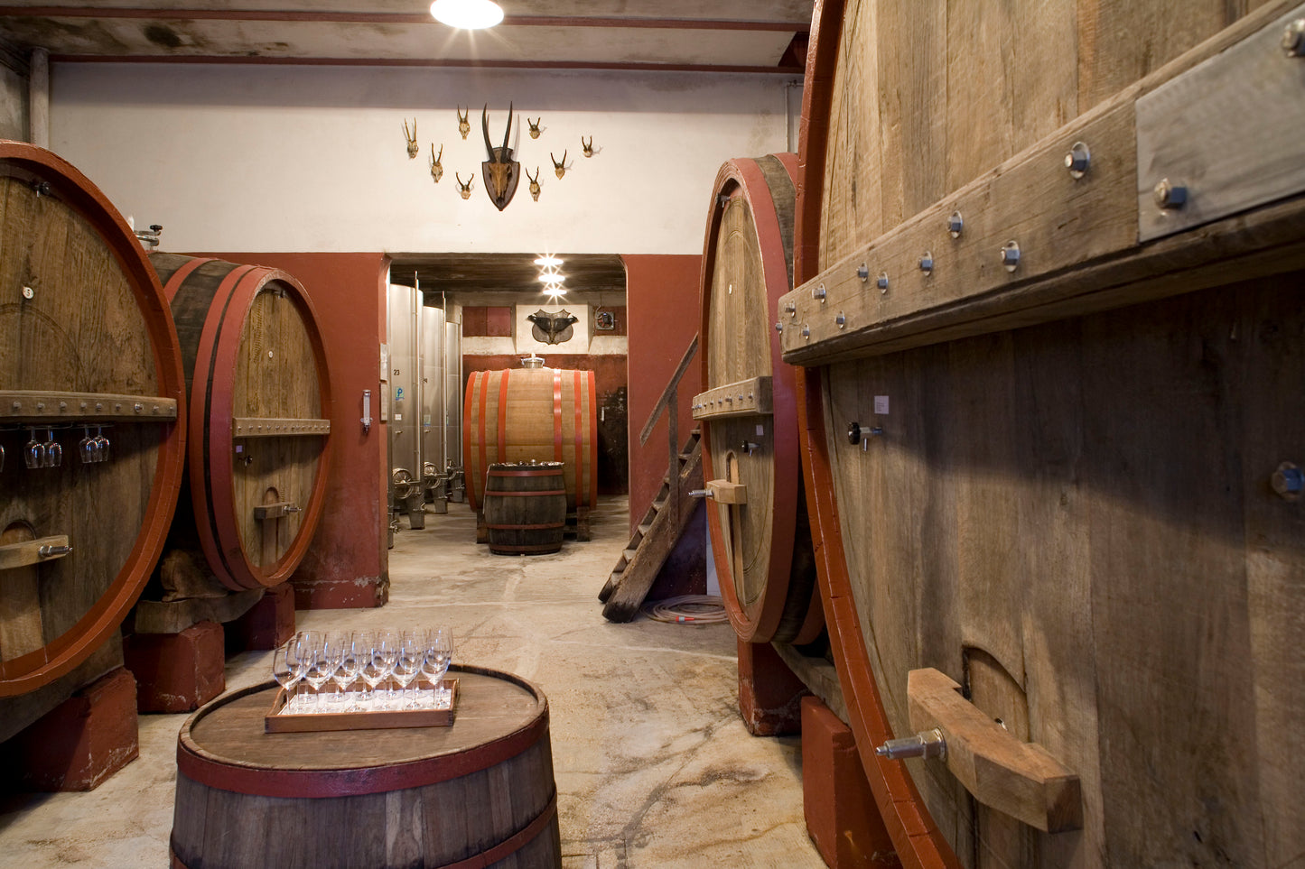 "Bucci" Verdicchio Classico di Castelli di Jesi - Bucci (Marche) 750ml x 6btl