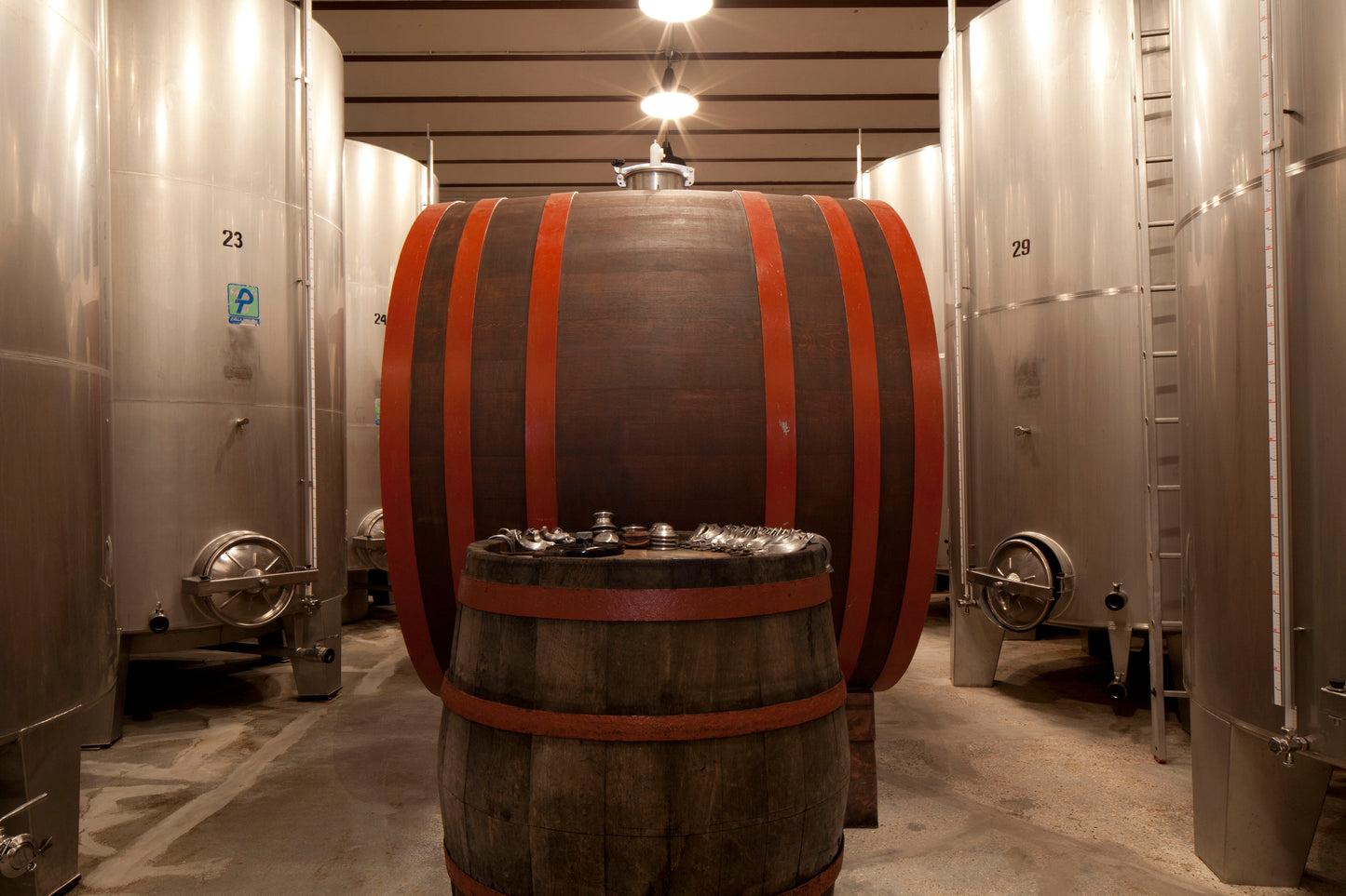 "Bucci" Verdicchio Classico di Castelli di Jesi - Bucci (Marche) 750ml x 6btl