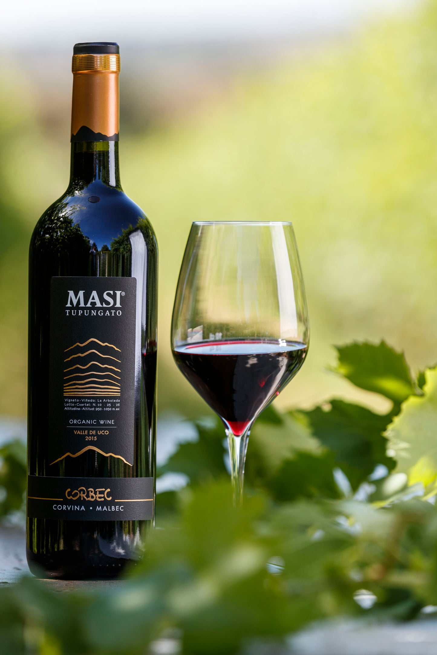 Alìe - FRESCOBALDI (Toscana) 750ml x 6btl