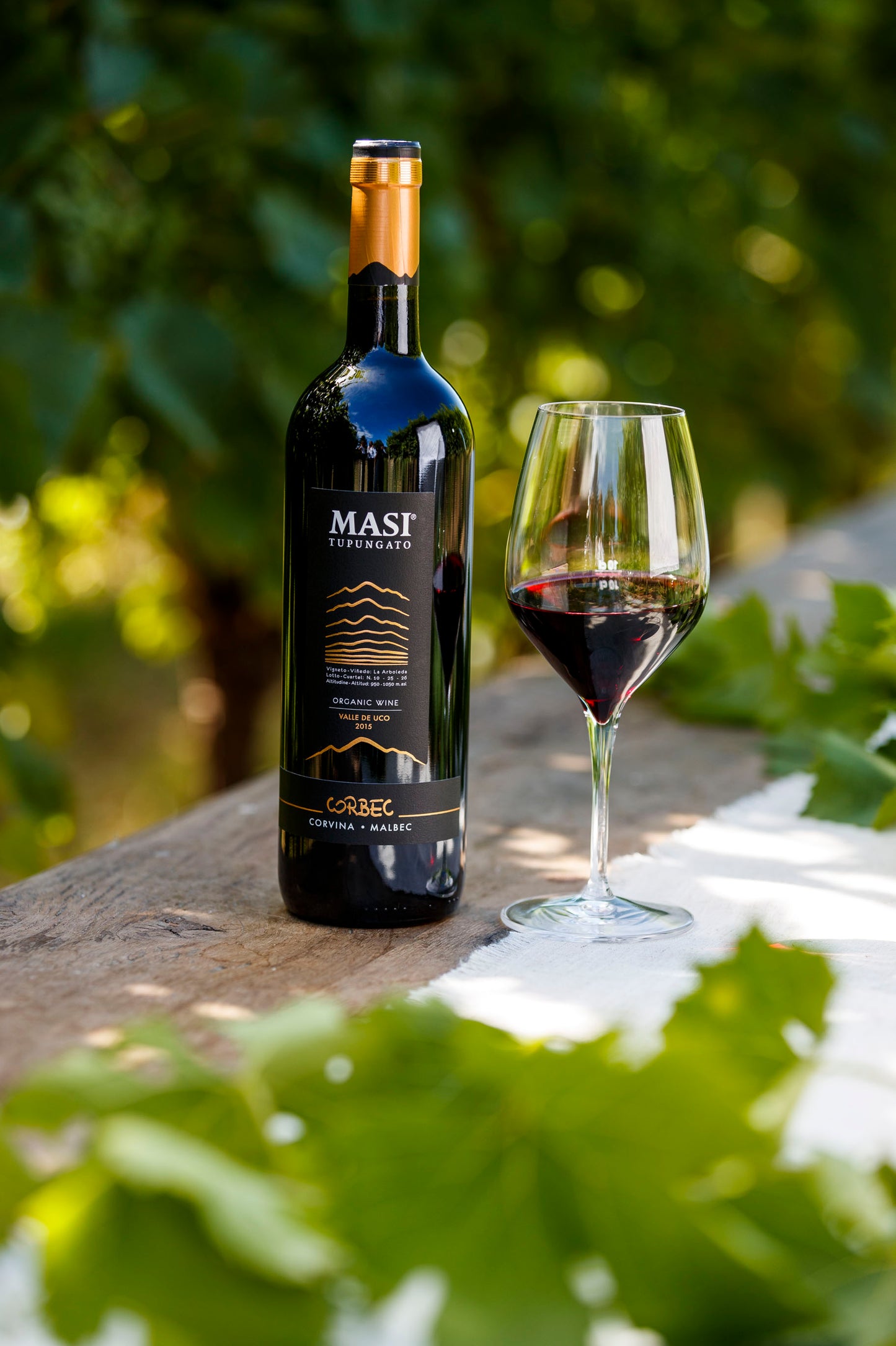 Alìe - FRESCOBALDI (Toscana) 750ml x 6btl