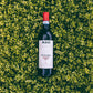 Alìe - FRESCOBALDI (Toscana) 750ml x 6btl