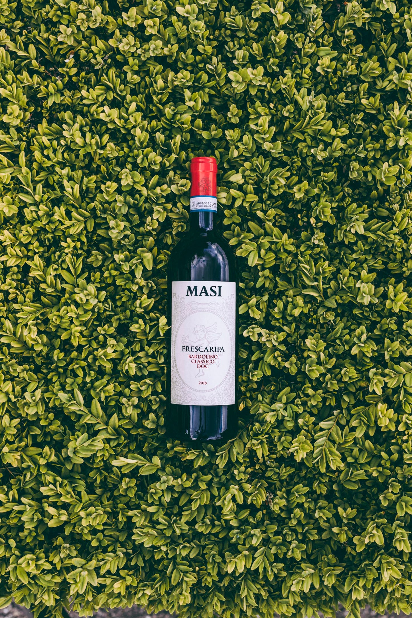 Alìe - FRESCOBALDI (Toscana) 750ml x 6btl