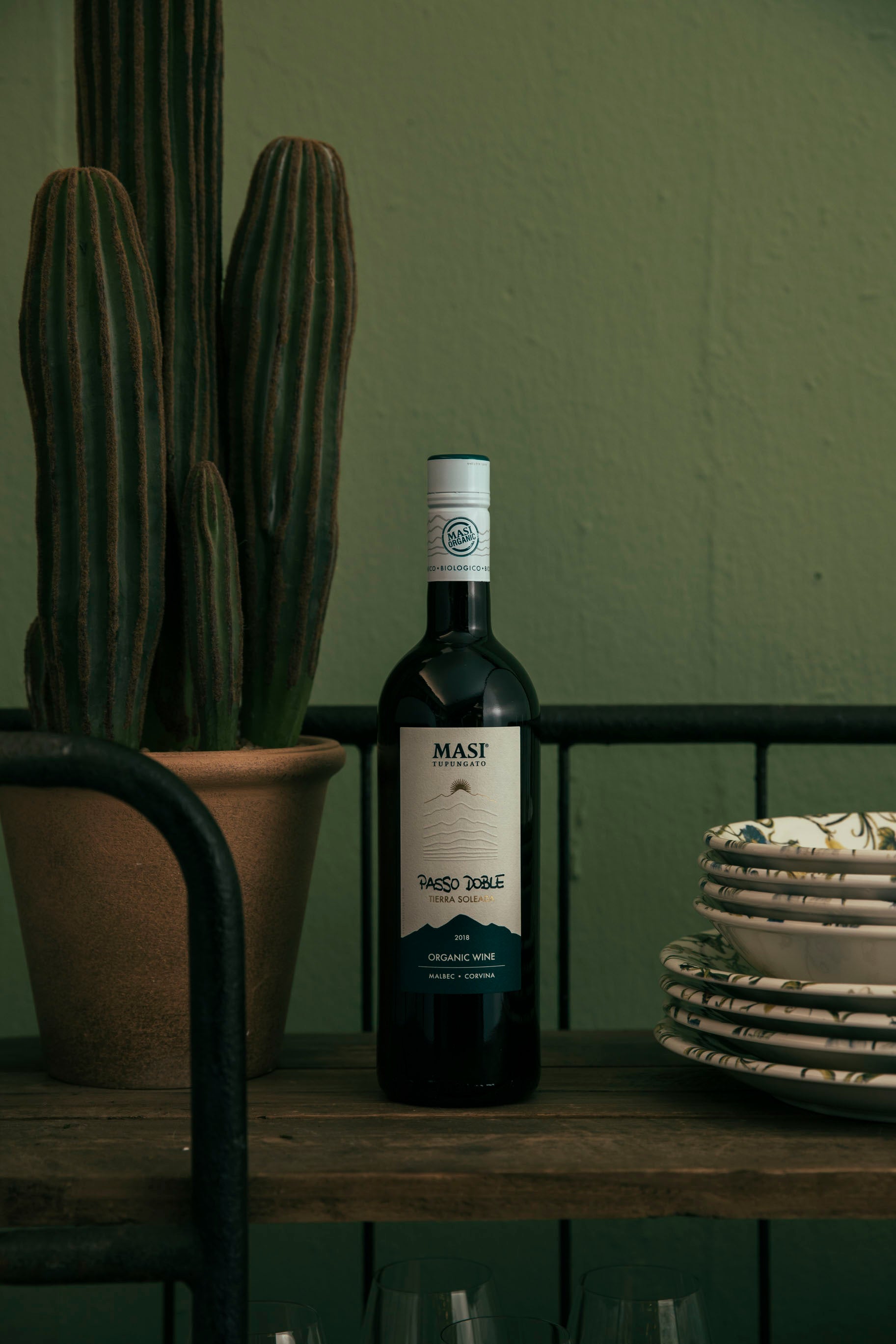 Passo Doble - MASI TUPUNGATO 750ml x 1 bottle