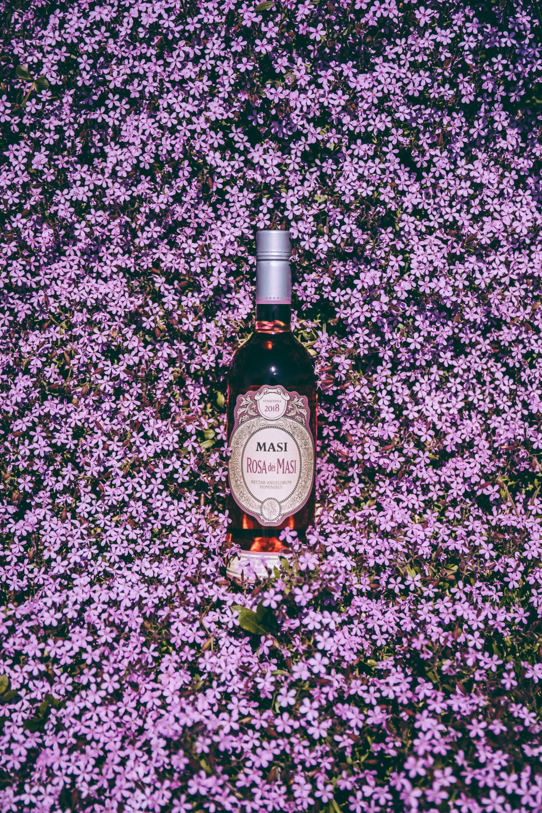 50%OFF】ローザ・デイ・マァジ - MASI (マァジ) 750ml x 1本 – ITALIAKARA