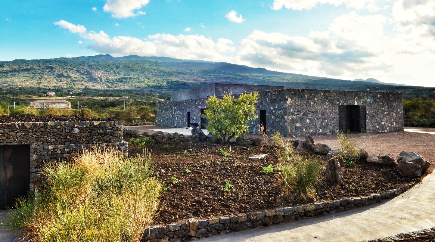 Carapace - Tenute Lunelli (Umbria) 750ml x 6btl