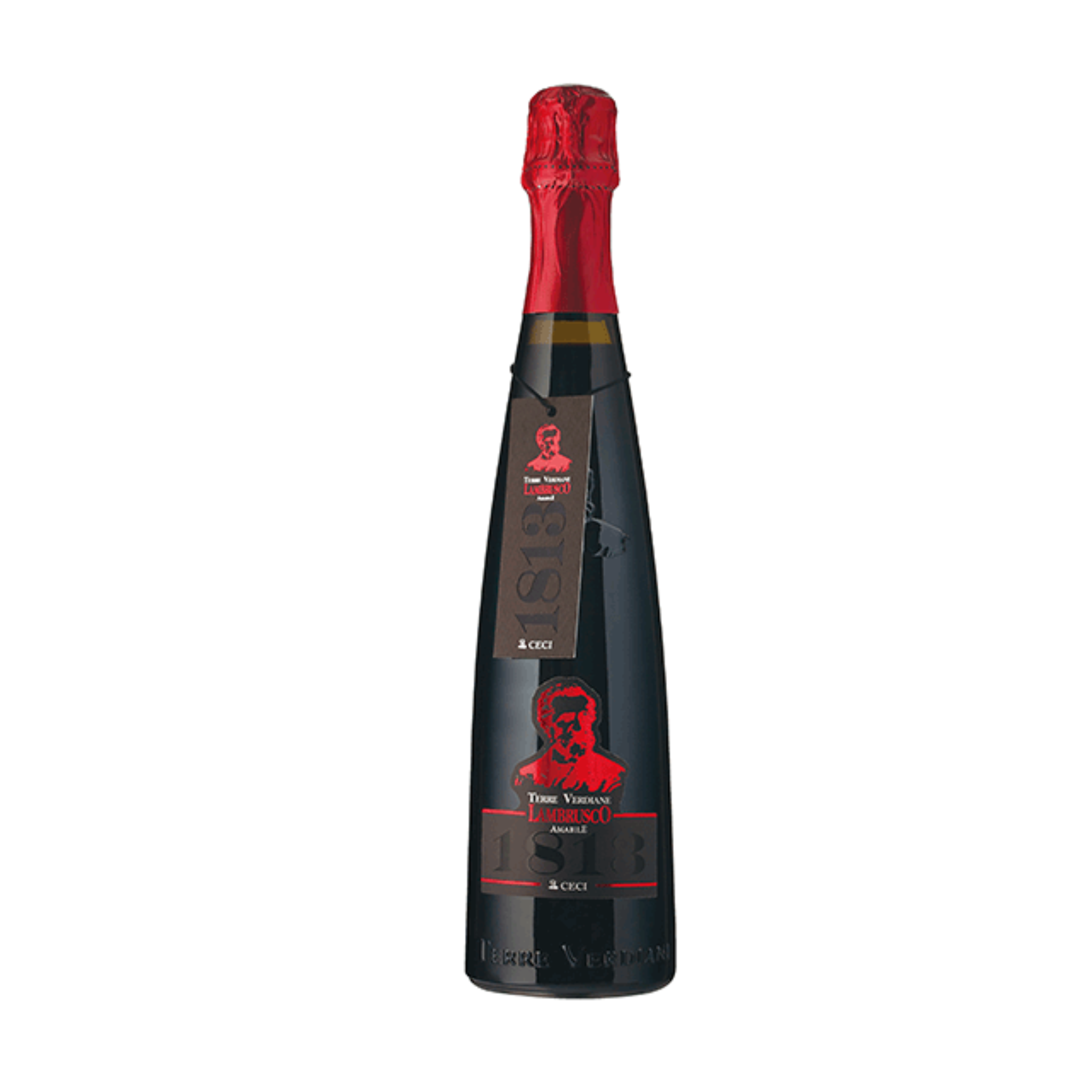 テッレ・ヴェルディアーネ・ランブルスコ・アマービレ 1813  CANTINA CECI (カンティーナ・チェーチ)  750ml x １本