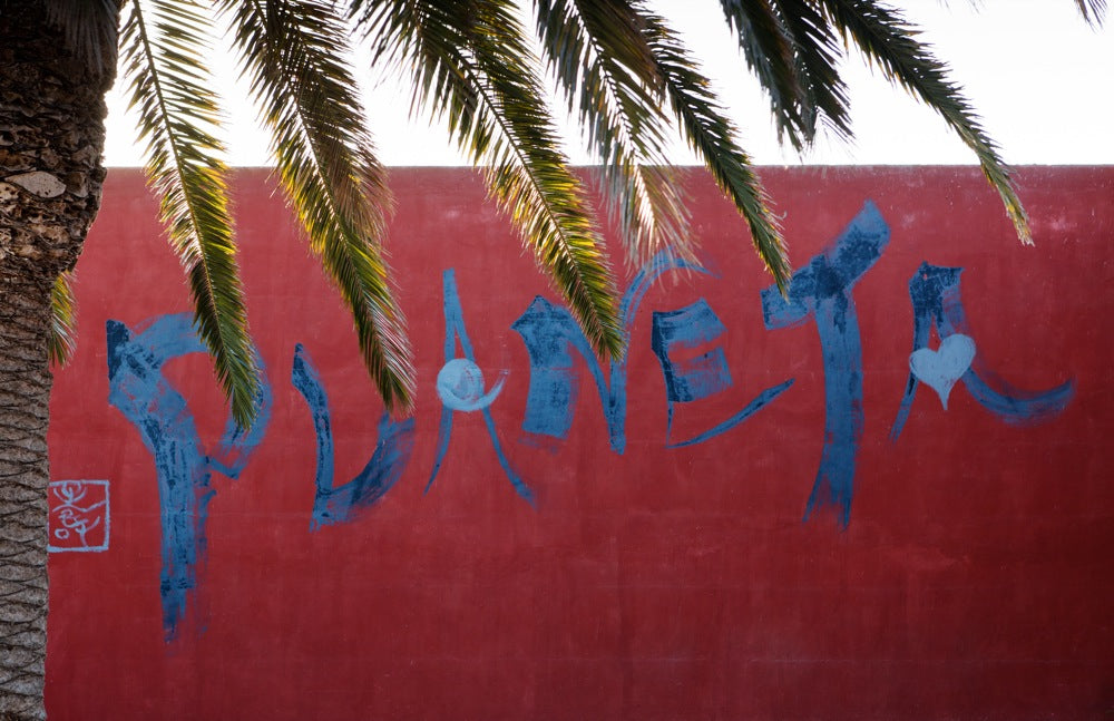 Carapace - Tenute Lunelli (Umbria) 750ml x 6btl