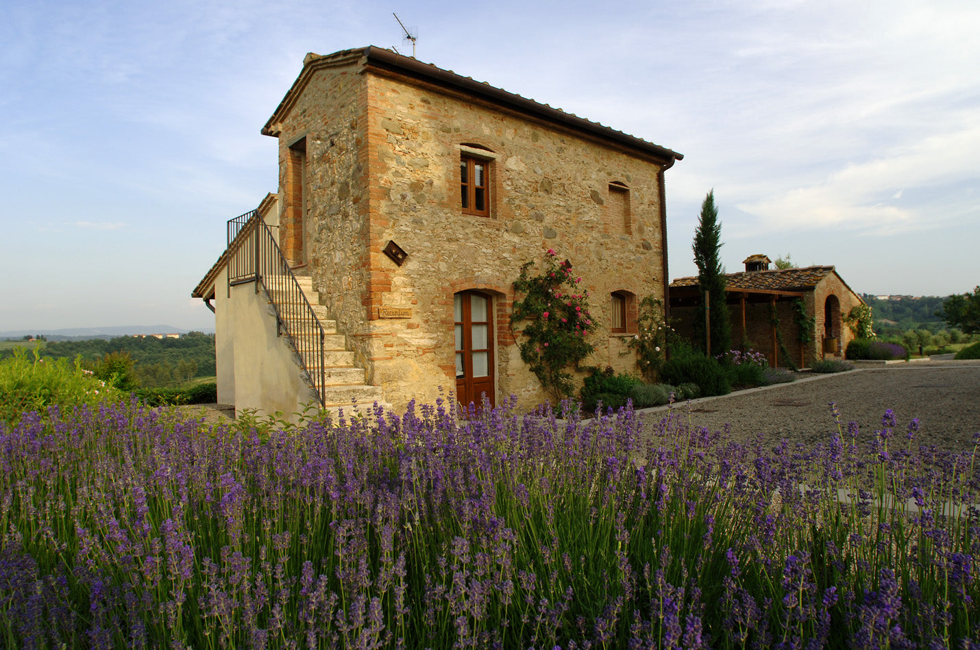 ソレニダ - Tenute Lunelli（トスカーナ）750ml x １本