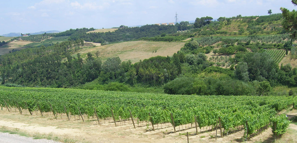 ソレニダ - Tenute Lunelli（トスカーナ）750ml x １本