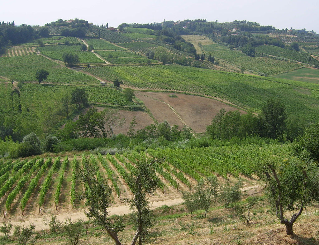 ソレニダ - Tenute Lunelli（トスカーナ）750ml x １本