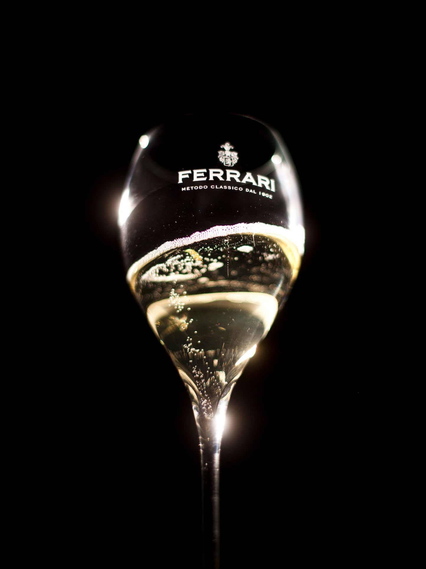 フェッラーリ・ペルレ・ネロ (ギフトボックス入り) 2005 - FERRARI（トレンティーノ）750ml x １本