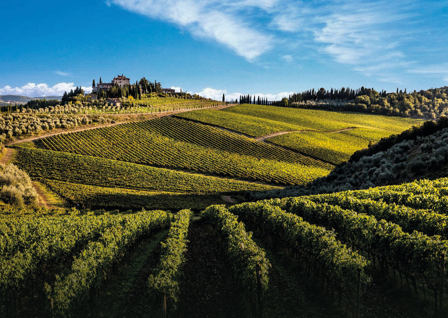 リアルツィ - FRESCOBALDI (フレスコバルディ) 750ml x １本