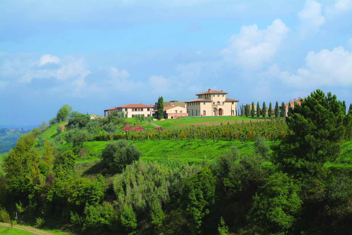 ソレニダ - Tenute Lunelli（トスカーナ）750ml x １本