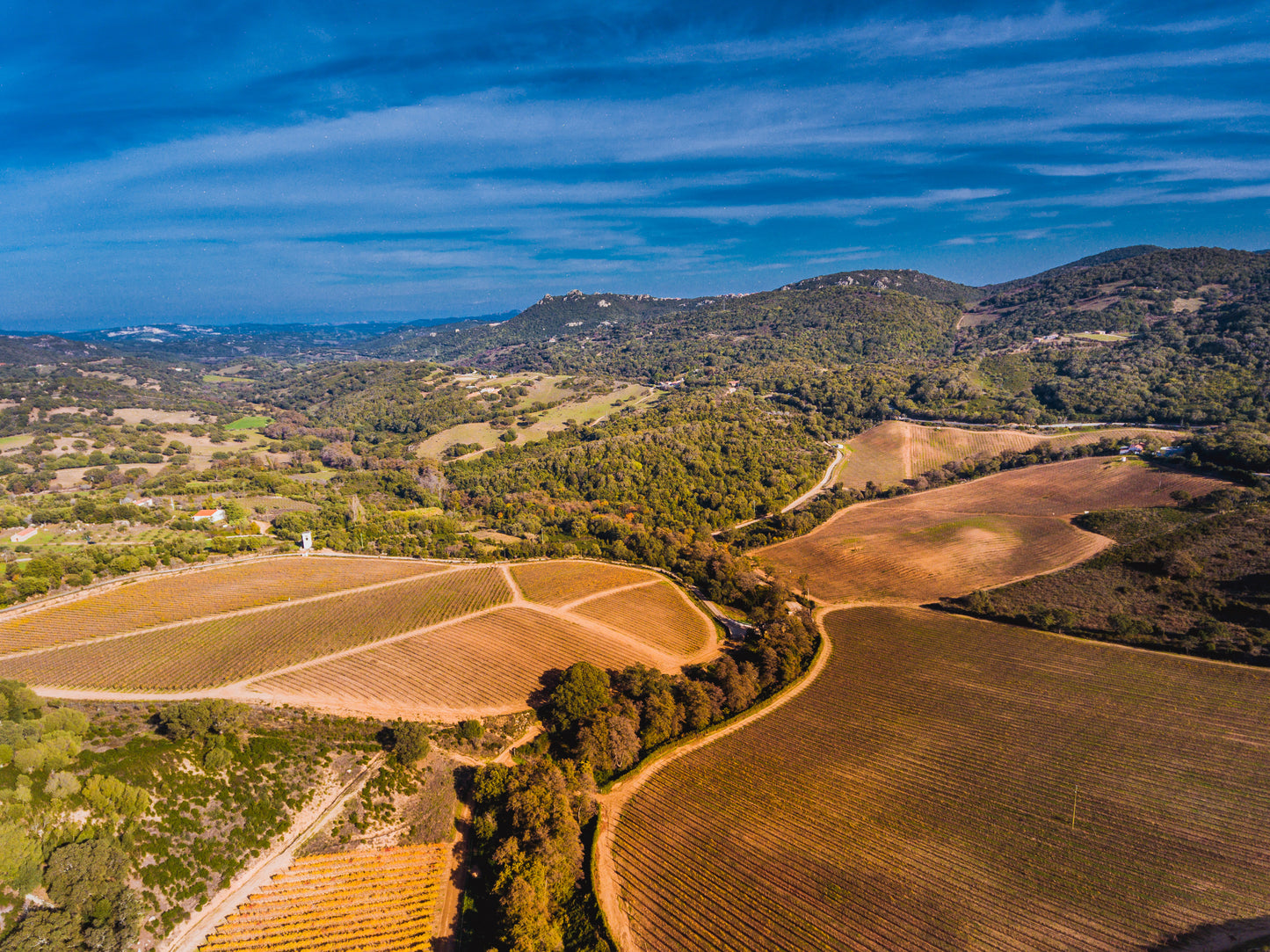 Carapace - Tenute Lunelli (Umbria) 750ml x 6btl