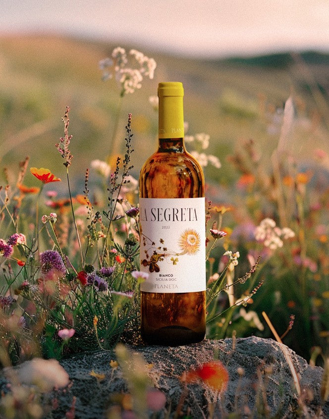 Carapace - Tenute Lunelli (Umbria) 750ml x 6btl