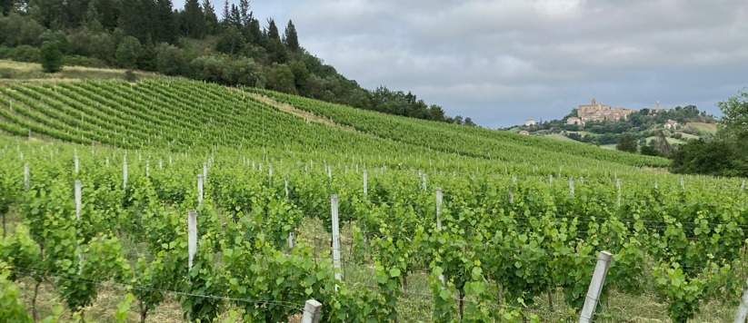 Alìe - FRESCOBALDI (Toscana) 750ml x 6btl