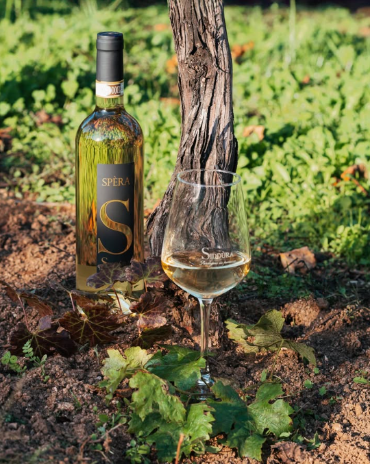 Sperra - SIDDÙRA 750ml x 1 bottle
