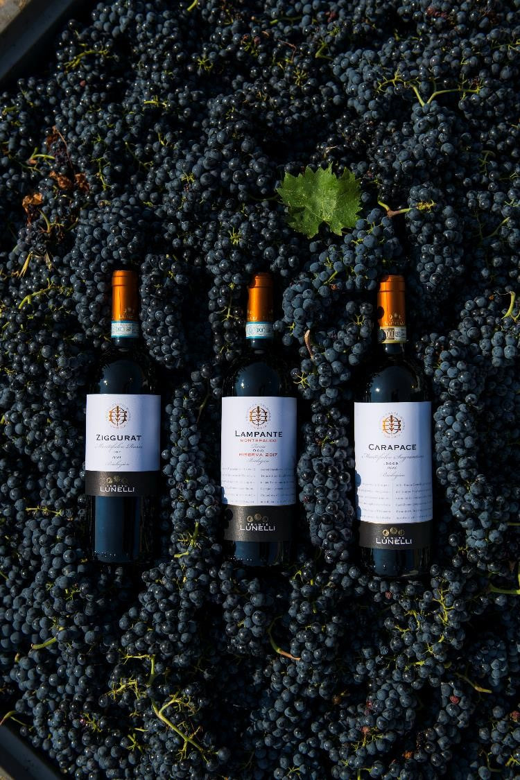 ジッグラット - Tenute Lunelli（ウンブリア）750ml x １本