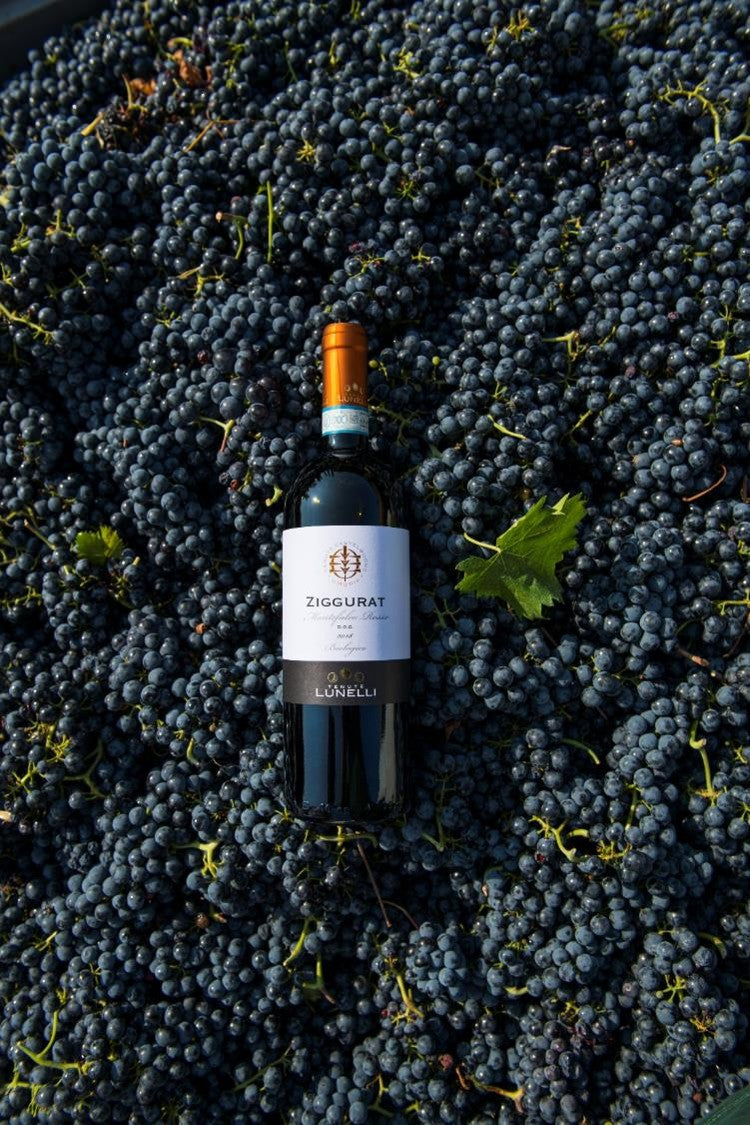 ジッグラット - Tenute Lunelli（ウンブリア）750ml x １本