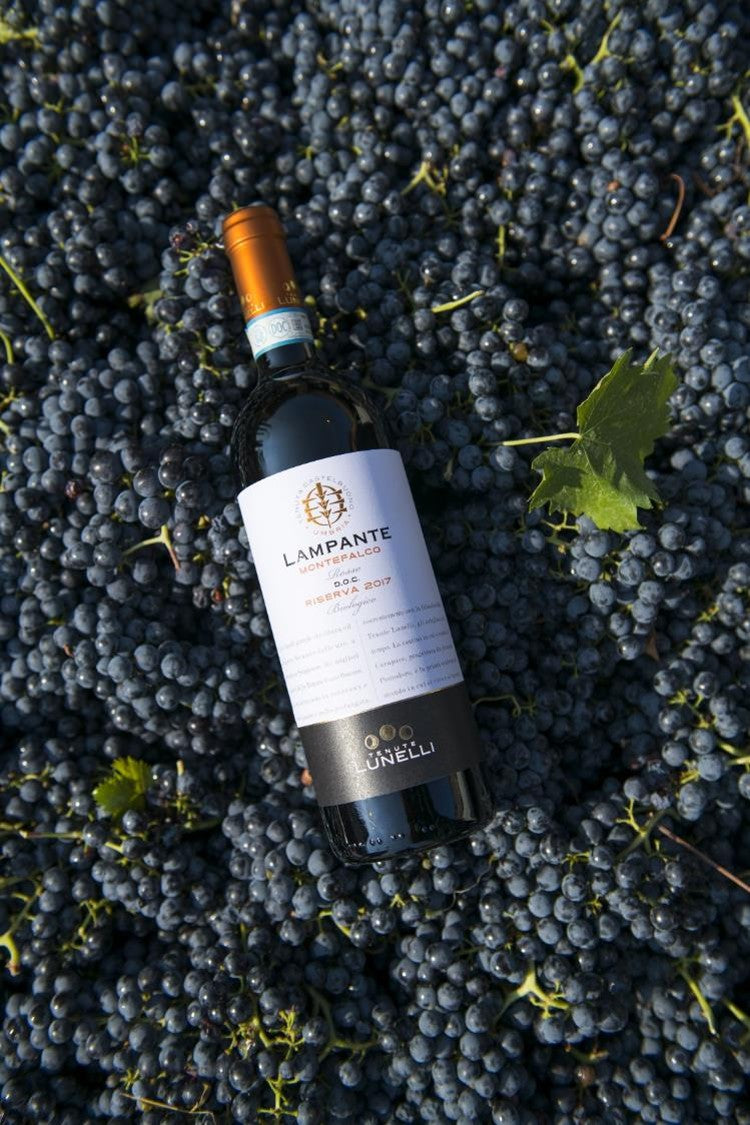 Carapace - Tenute Lunelli (Umbria) 750ml x 6btl