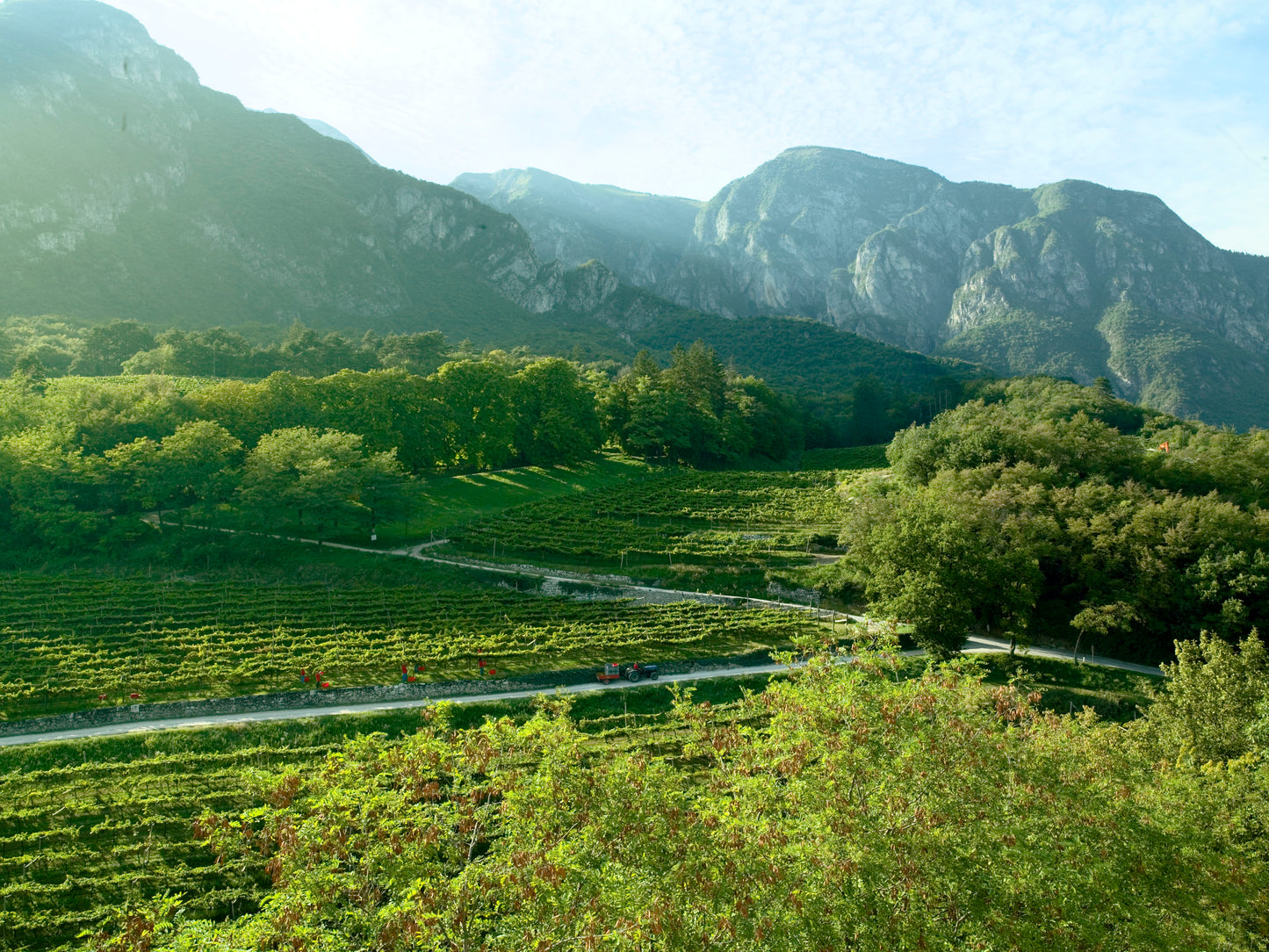 フェッラーリ・ペルレ・ネロ (ギフトボックス入り) 2005 - FERRARI（トレンティーノ）750ml x １本