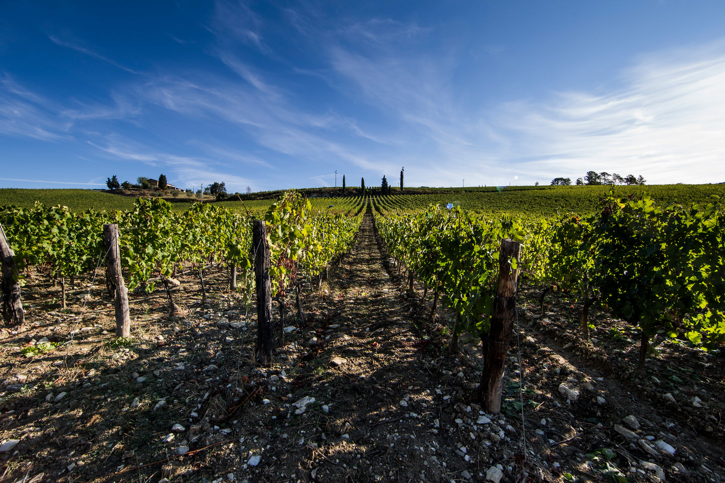 Nipozzano Riserva - FRESCOBALDI (Toscana) 750ml x 6btl (with wooden box)