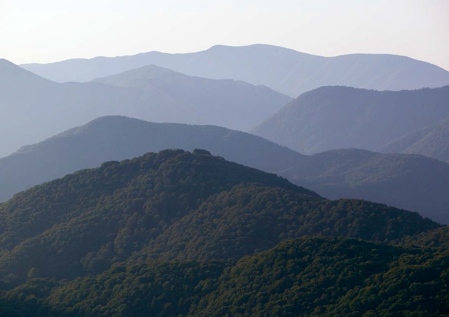 Alìe - FRESCOBALDI (Toscana) 750ml x 6btl