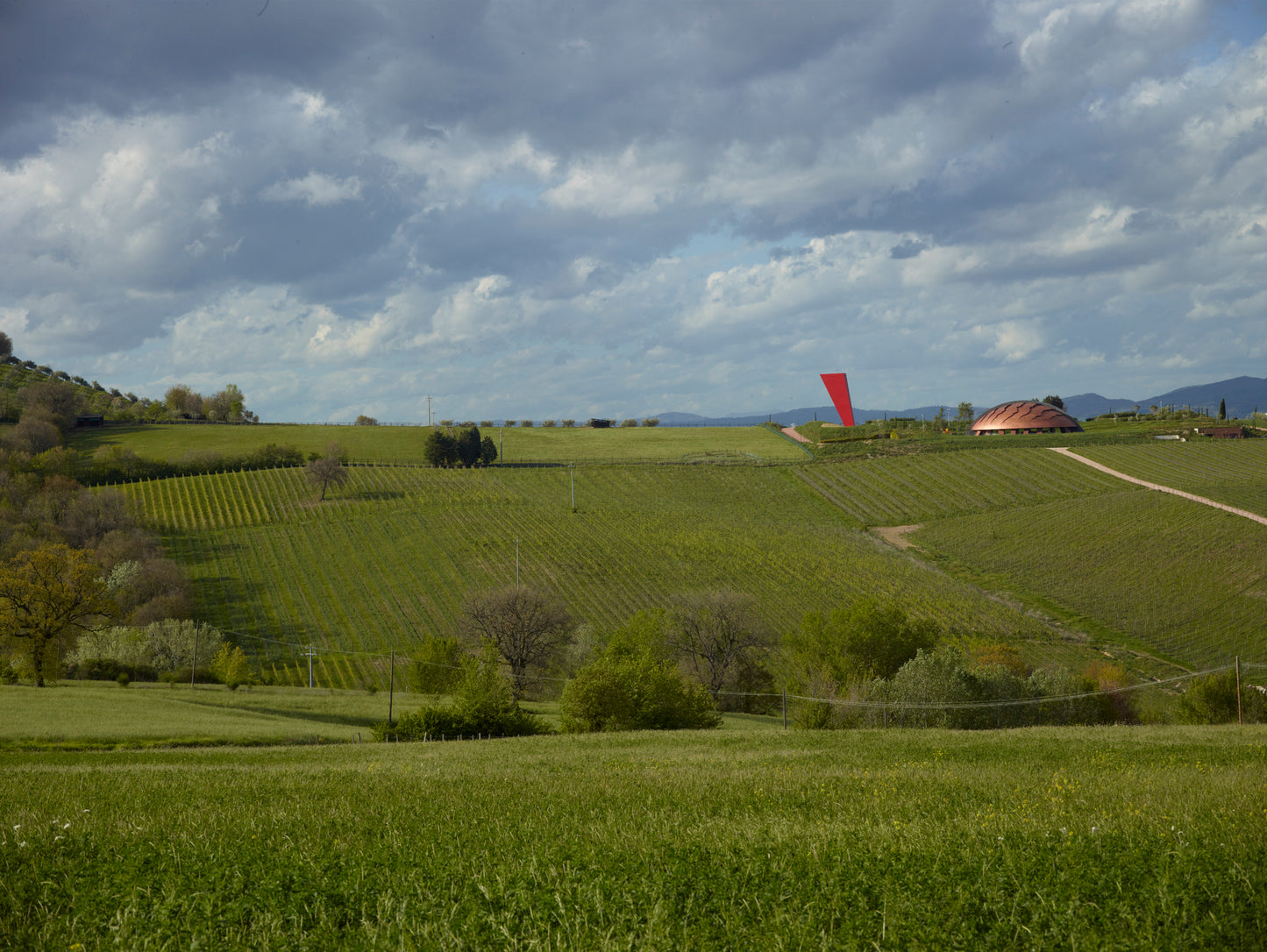 ジッグラット - Tenute Lunelli（ウンブリア）750ml x １本
