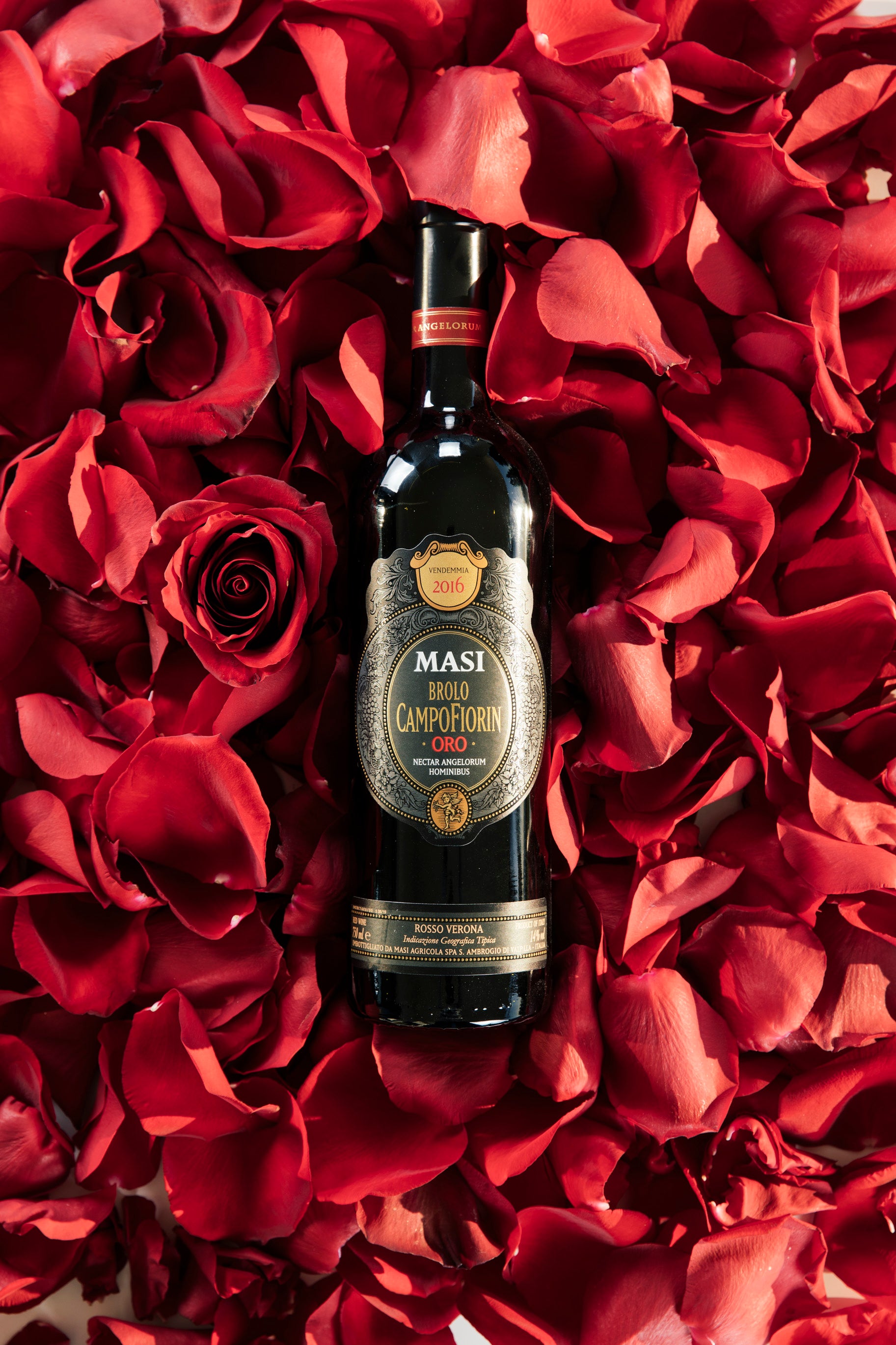 ブローロ・カンポフィオリン  - MASI (マァジ)  750ml x １本