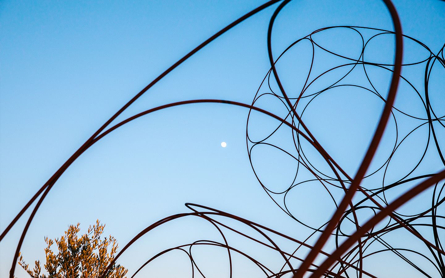 Pinot Grigio - Livio Felluga (Friuli Venezia Giulia) 750ml x 6btl