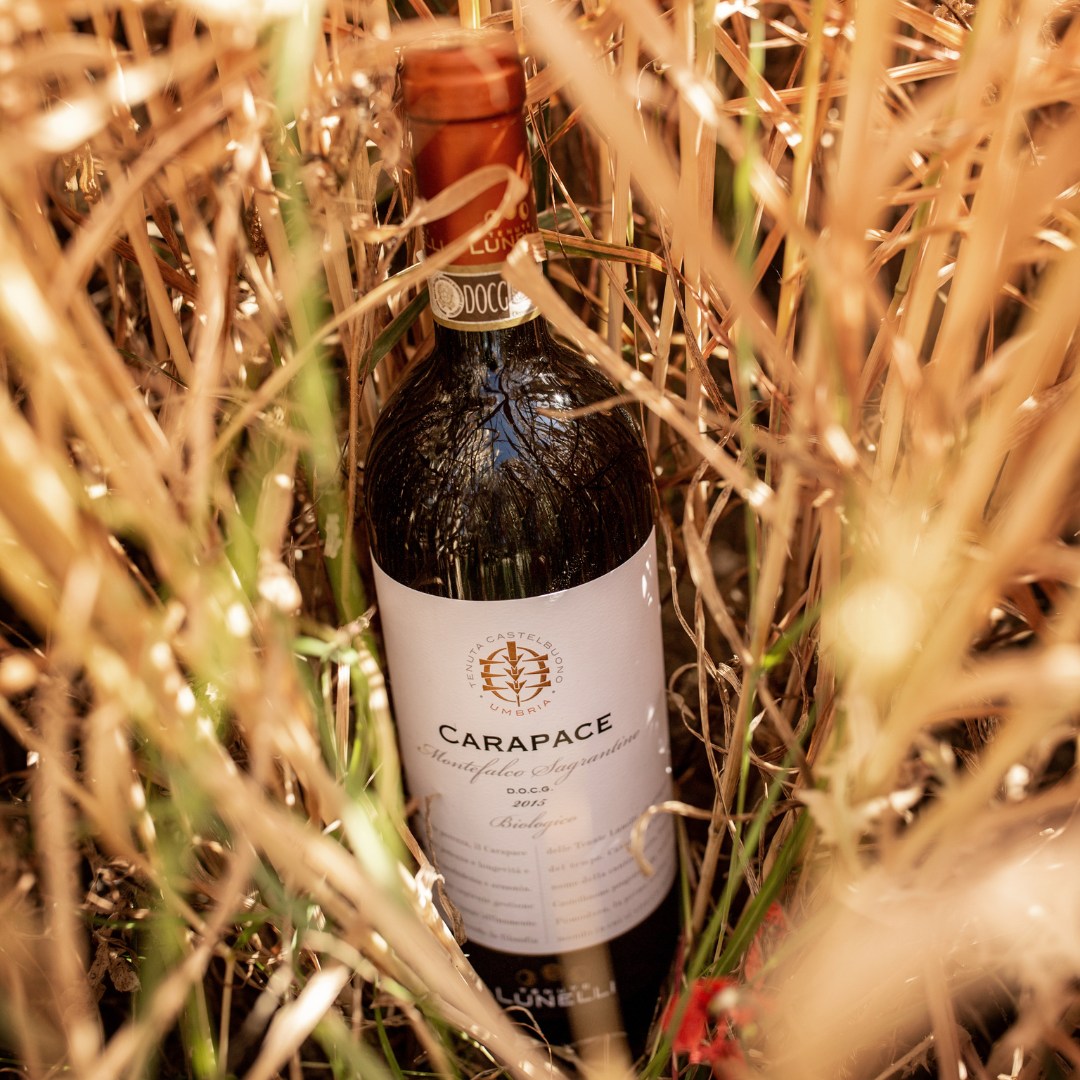 Carapace - Tenute Lunelli (Umbria) 750ml x 6btl
