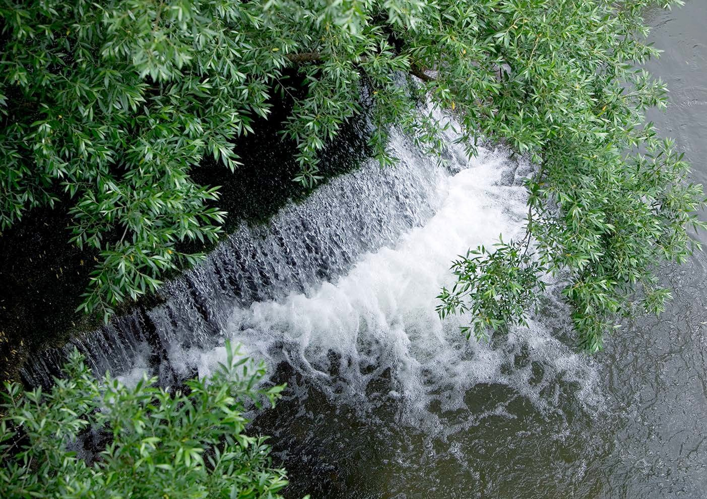 Alìe - FRESCOBALDI (Toscana) 750ml x 6btl