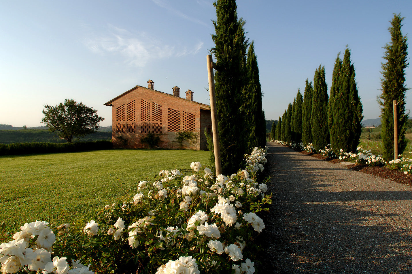 ソレニダ - Tenute Lunelli（トスカーナ）750ml x １本