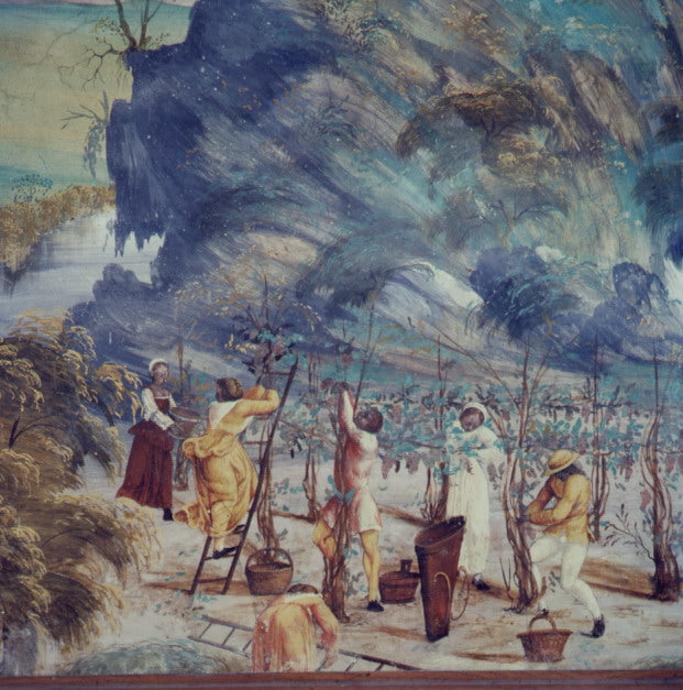 フェッラーリ・ペルレ・ネロ (ギフトボックス入り) 2005 - FERRARI（トレンティーノ）750ml x １本