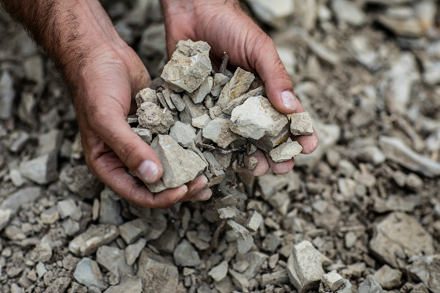 リアルツィ - FRESCOBALDI (フレスコバルディ) 750ml x １本