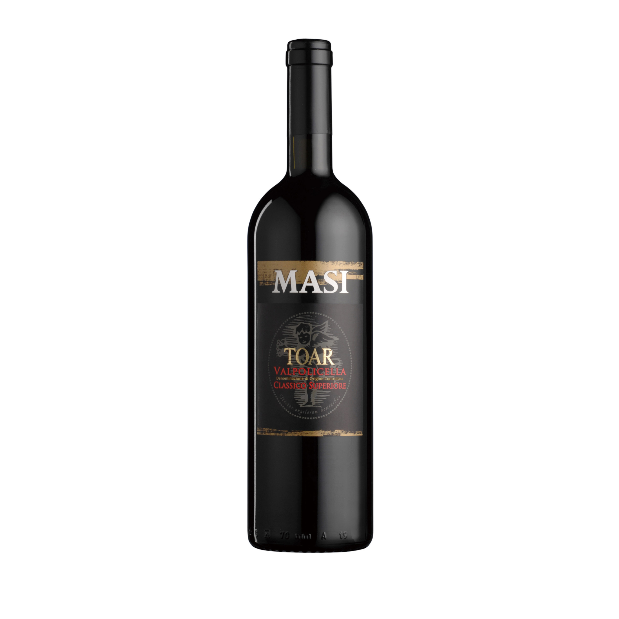 トアール  - MASI (マァジ) 750ml x １本