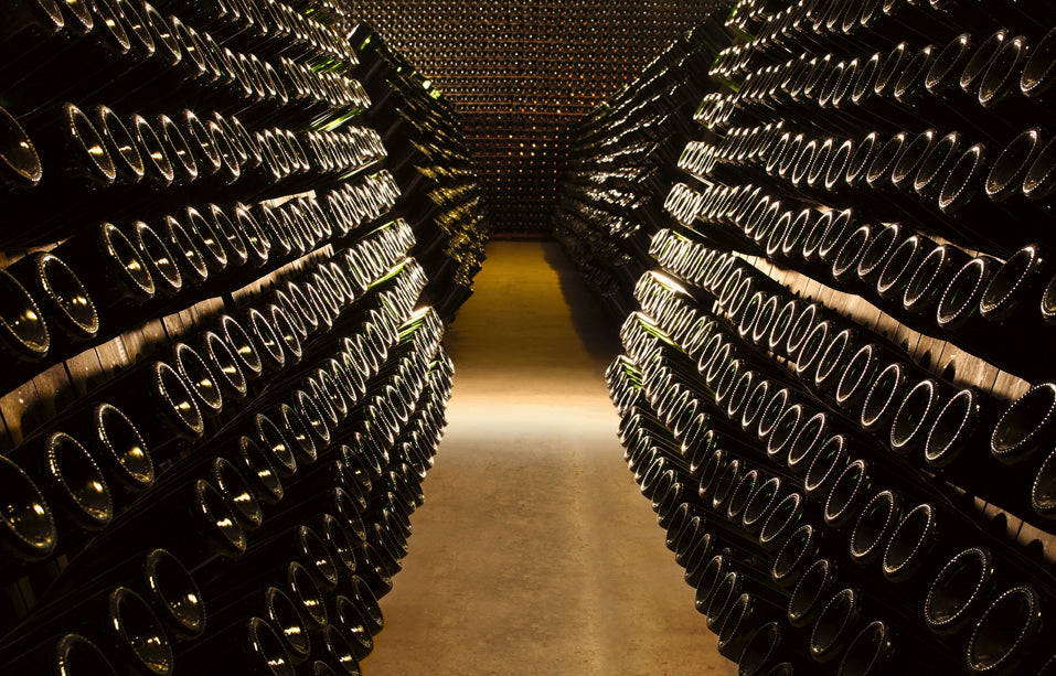 フェッラーリ・ペルレ・ネロ (ギフトボックス入り) 2005 - FERRARI（トレンティーノ）750ml x １本