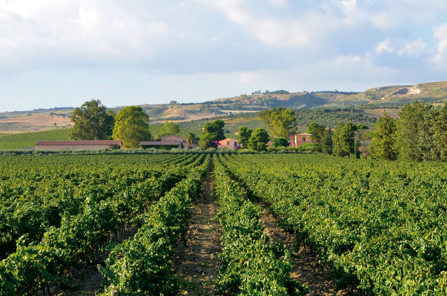 シャルドネ 2001 - PLANETA (プラネタ) 3000ml x １本