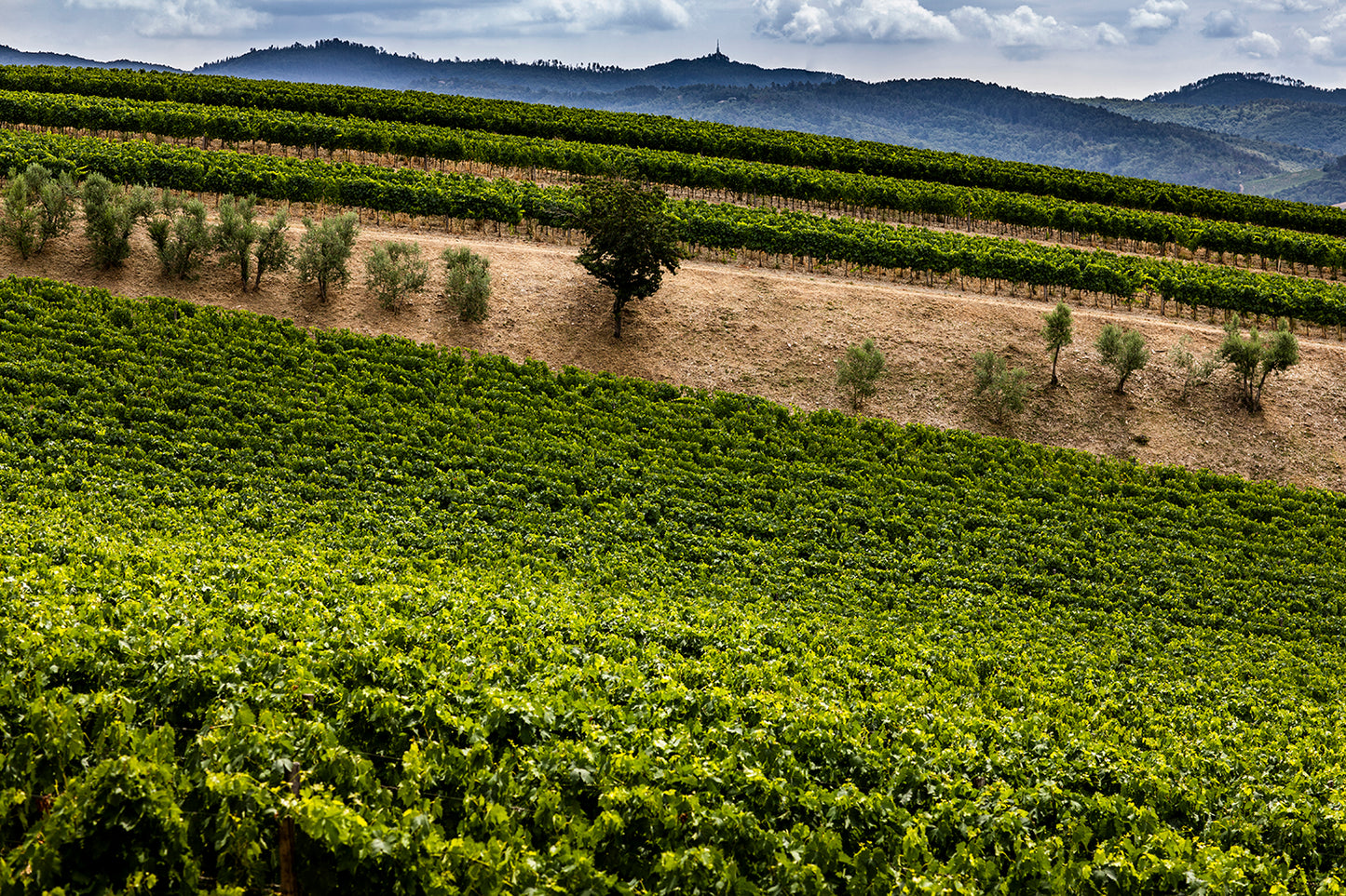 Alìe - FRESCOBALDI (Toscana) 750ml x 6btl