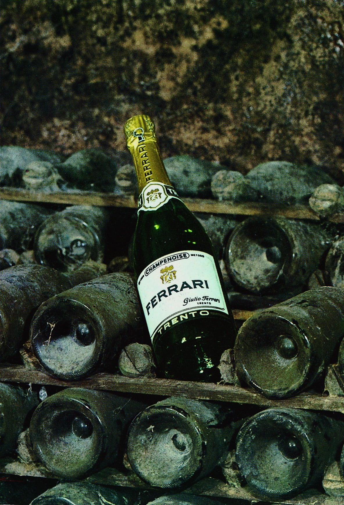 フェッラーリ・ペルレ・ネロ (ギフトボックス入り) 2005 - FERRARI（トレンティーノ）750ml x １本