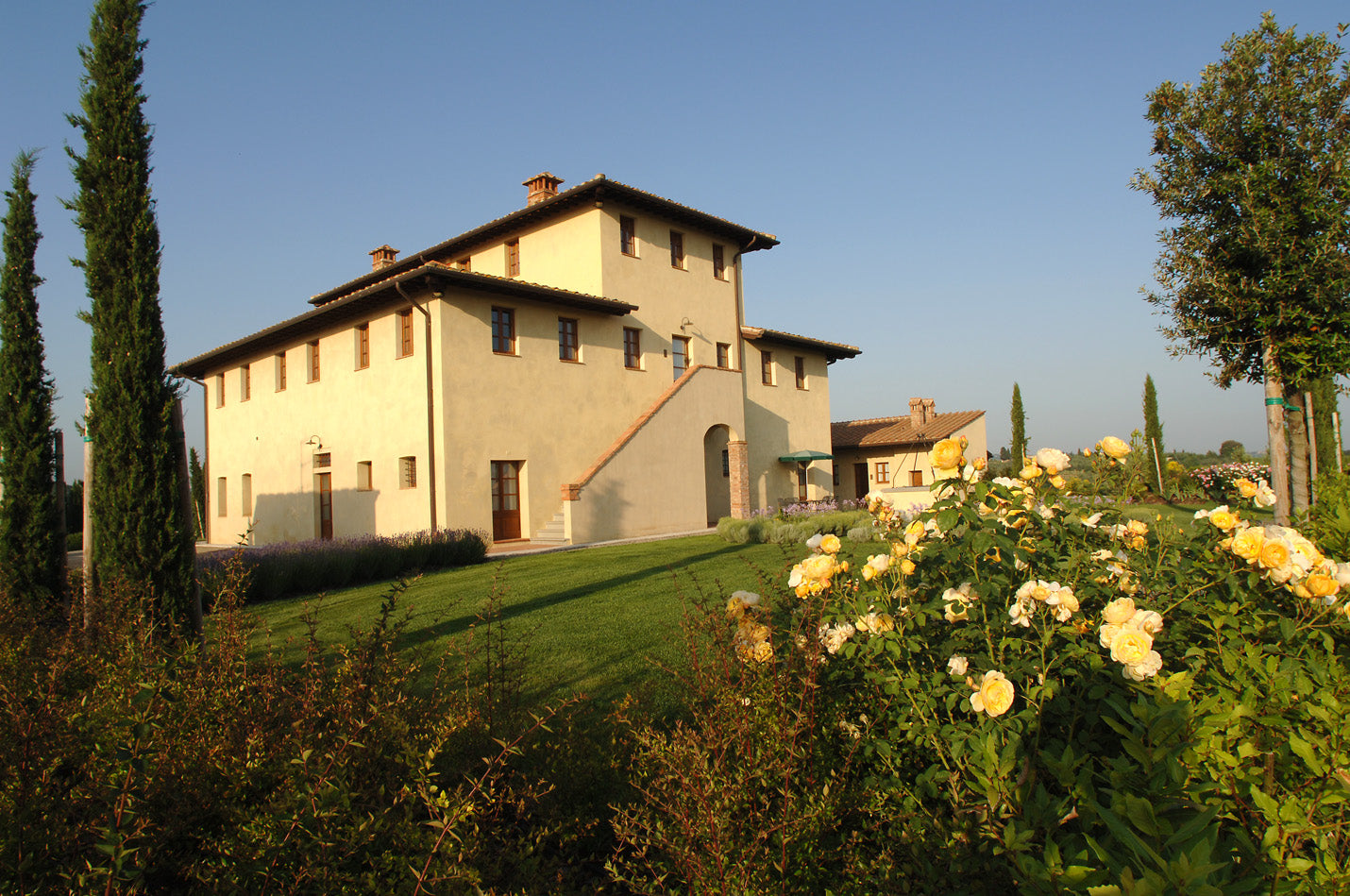 ソレニダ - Tenute Lunelli（トスカーナ）750ml x １本