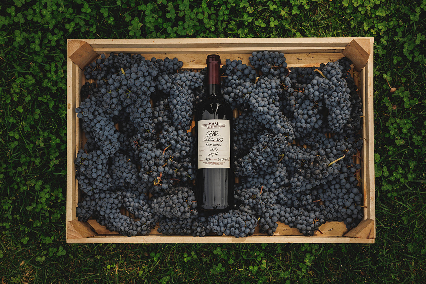 オザール  - MASI (マァジ) 750ml x １本