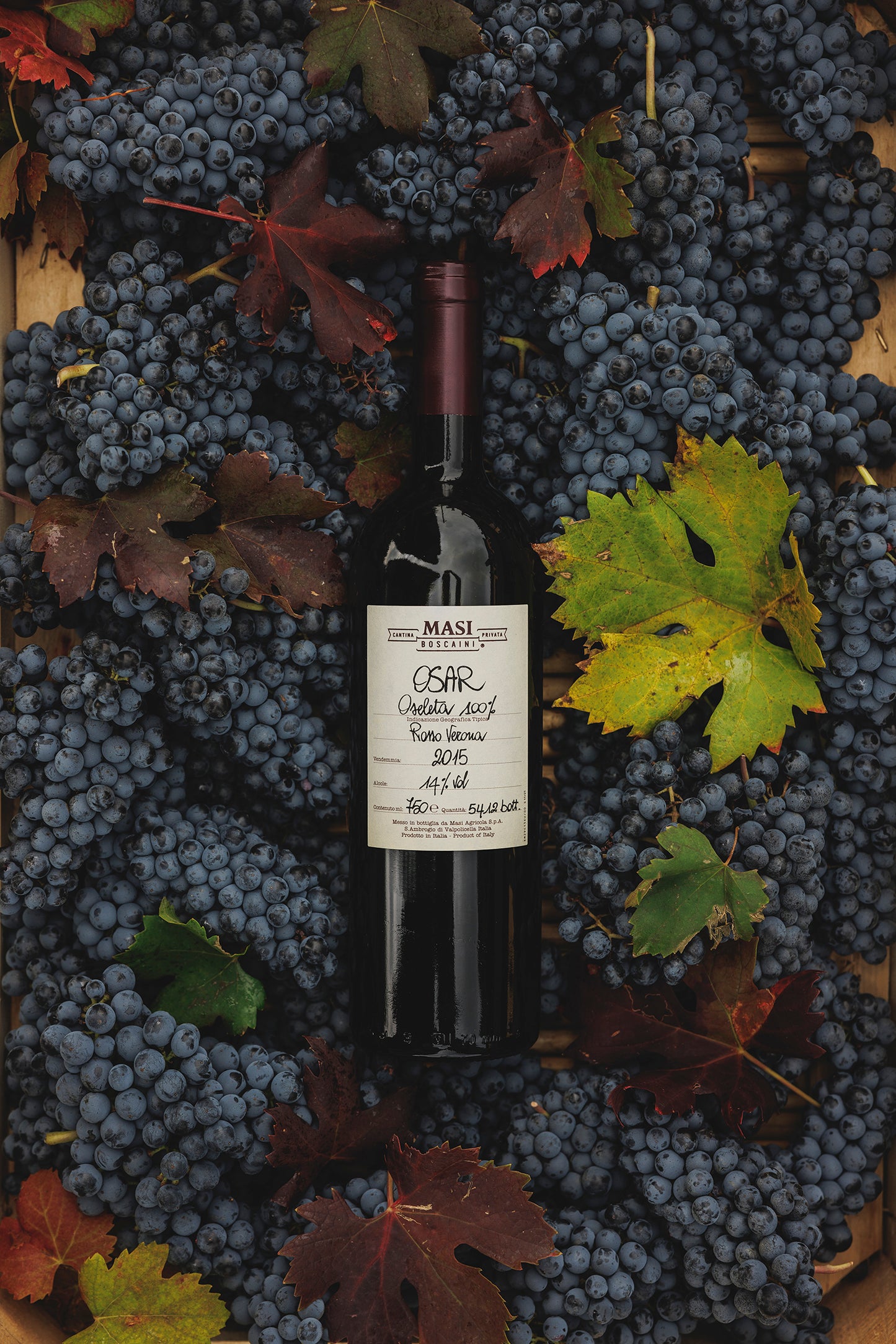 オザール  - MASI (マァジ) 750ml x １本