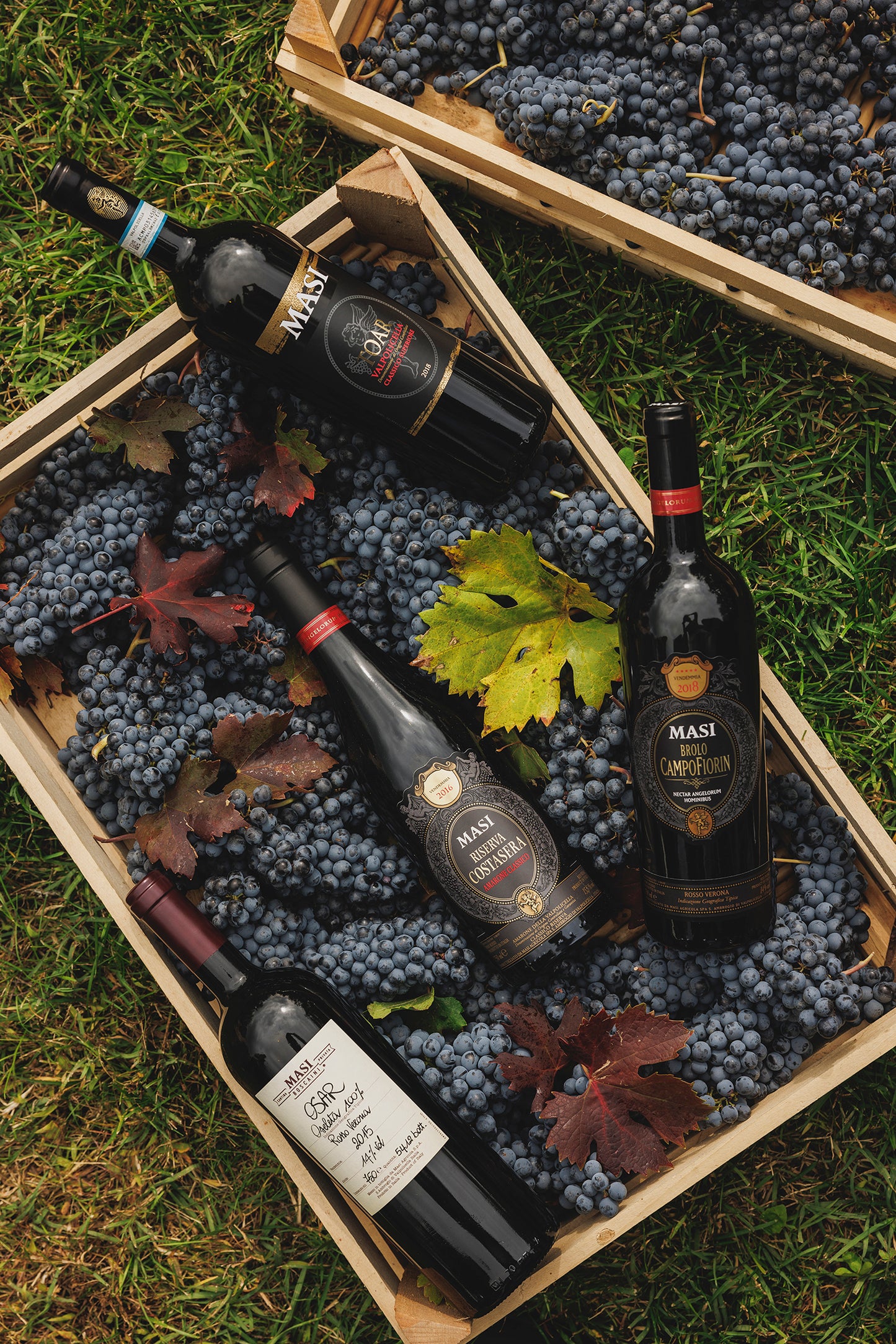 オザール  - MASI (マァジ) 750ml x １本