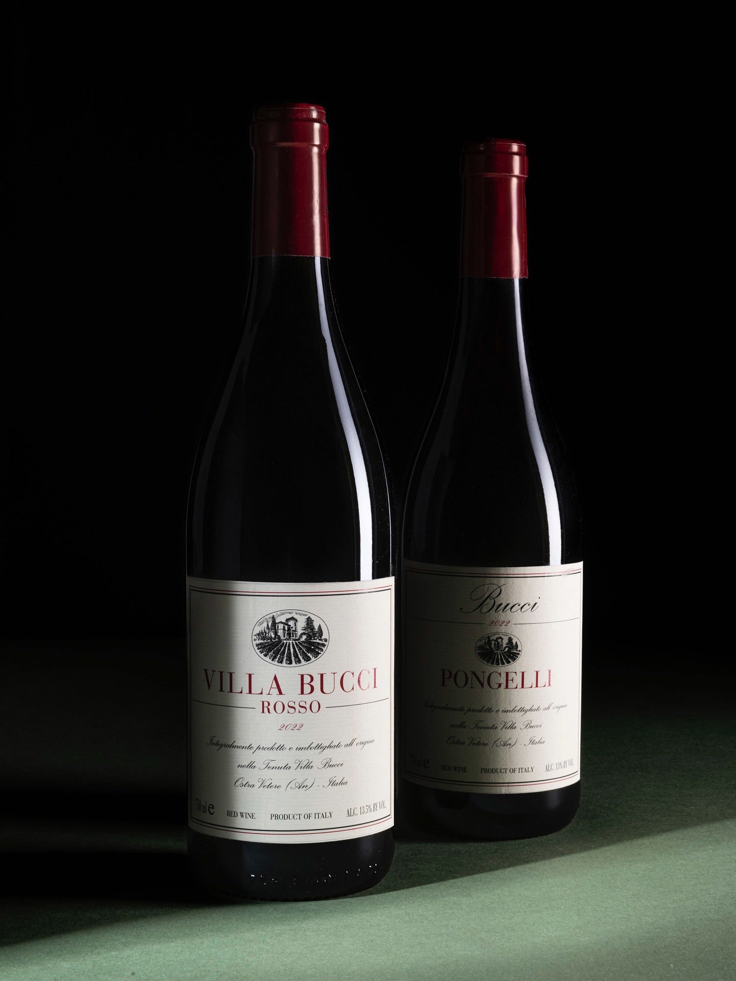 “Tenuta Pongelli” Rosso Piceno - Villa Bucci 750ml x 1 bottle